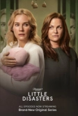 Little Disasters (2025)